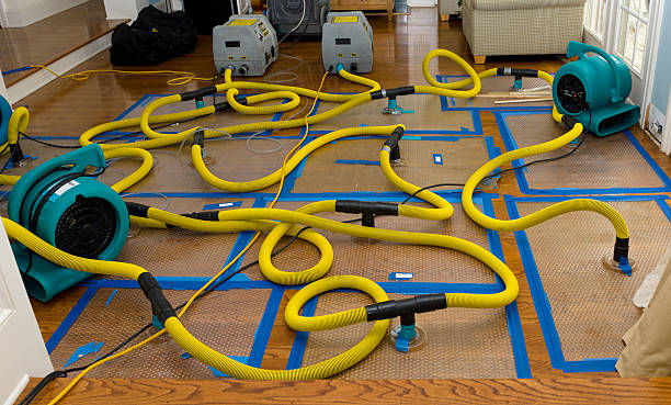 Professional Basement Flood Cleanup technician working in Alpha, OH